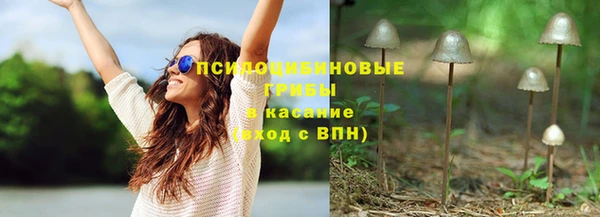 первитин Белокуриха