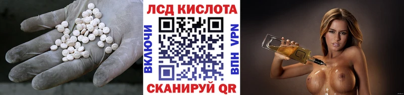 дарк нет состав  Дубовка  ЛСД экстази кислота 