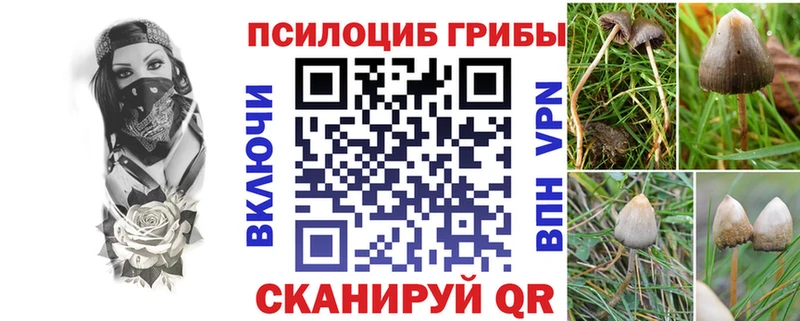Галлюциногенные грибы Magic Shrooms  Дубовка 